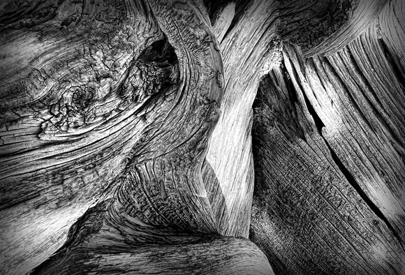 Abstract Wood