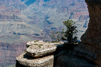 Grand Canyon-0604