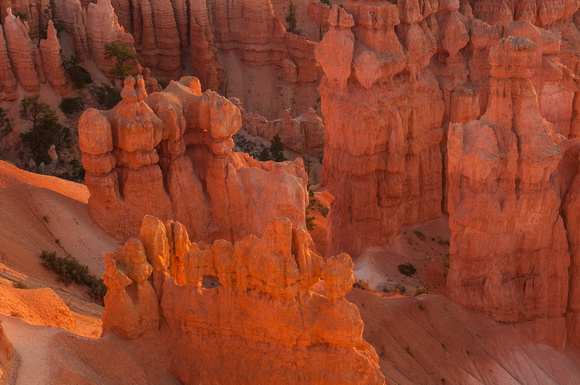 Bryce Canyon-0825